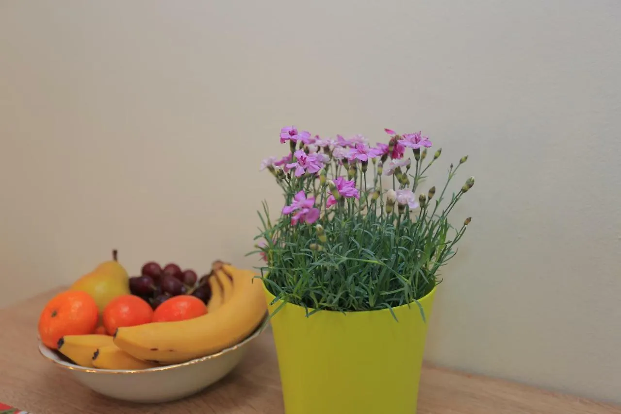 Apartment Centar Pula Croatia